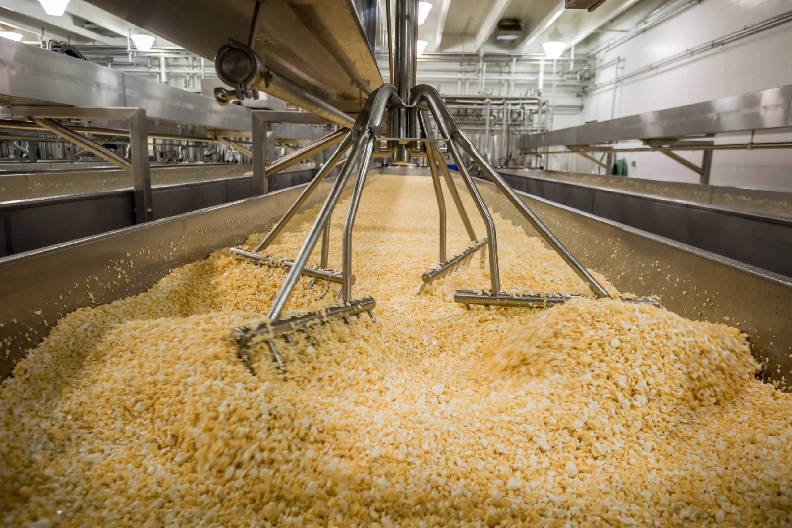 Cheese facility