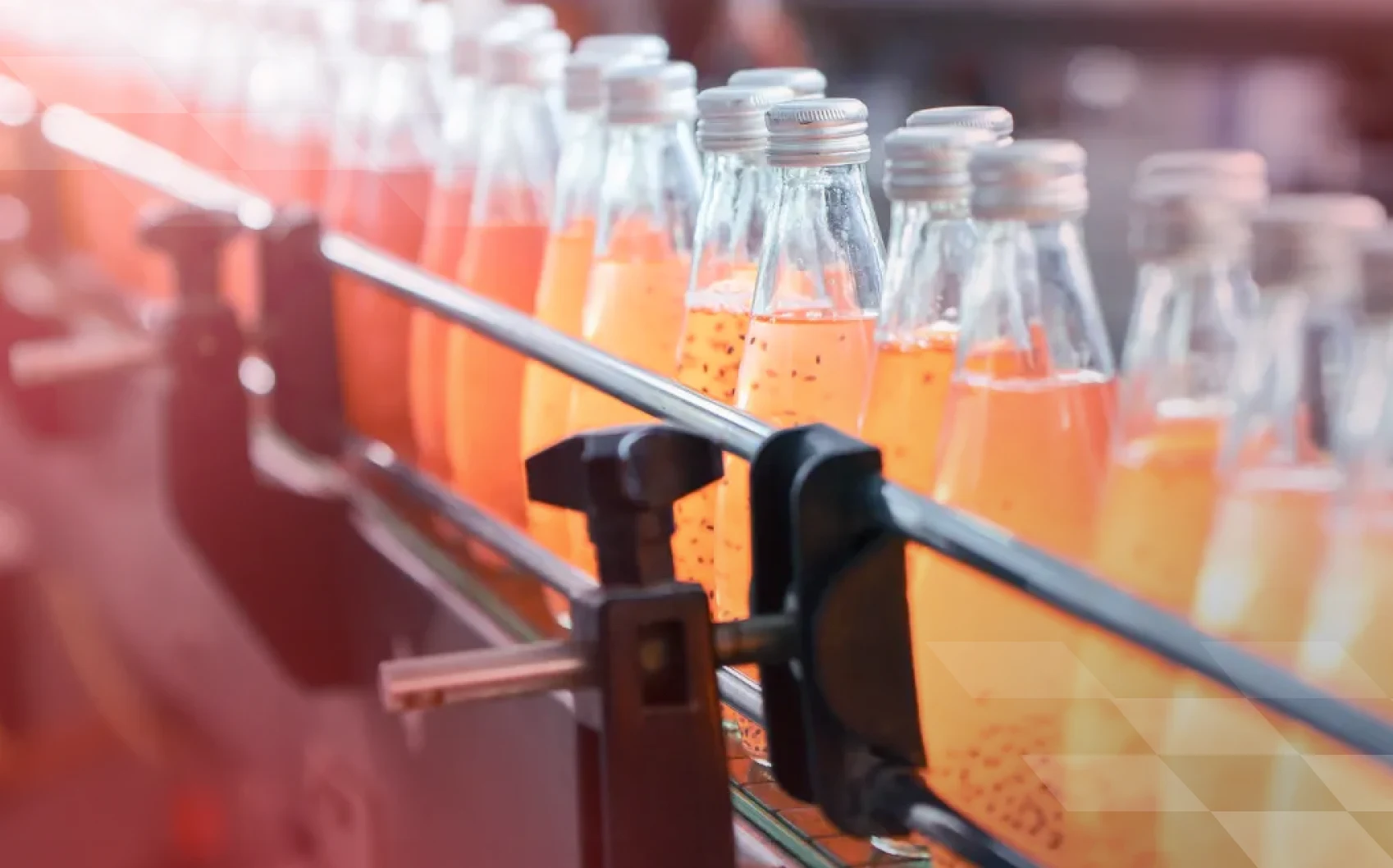 Food & Beverage